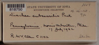 Image Associated With the Occurence